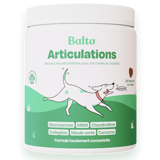 Complément Articulations