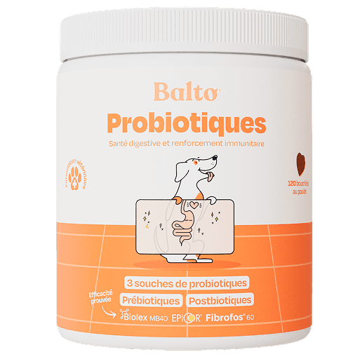 Complément Probiotiques