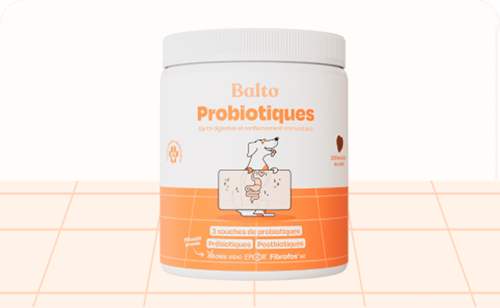 Probiotiques
