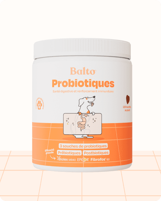 Probiotiques